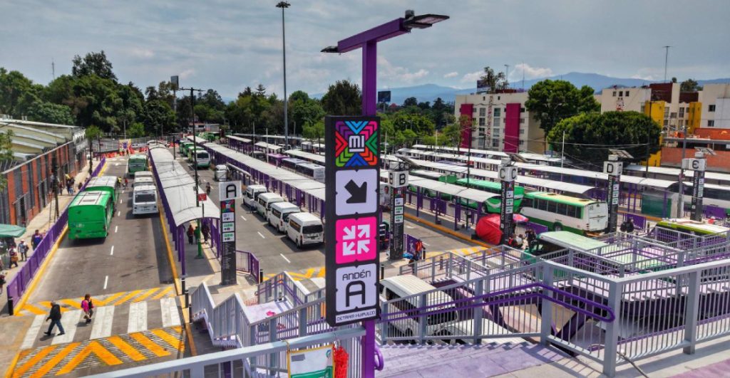politica-imagen-ajolotes-color-morado-cdmx-significado-criticas-3