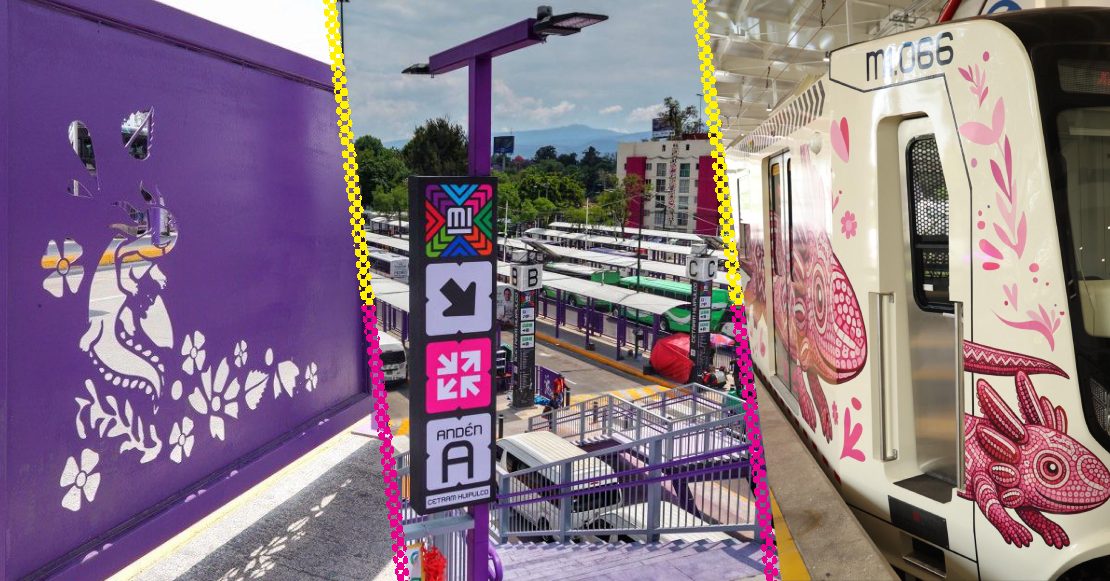 Política e imagen de los ajolotes y el color morado en la CDMX, ¿qué significan?