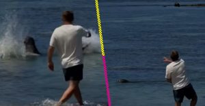 turista-lanza-piedra-foca-peligro-extincion-hawai-destacada
