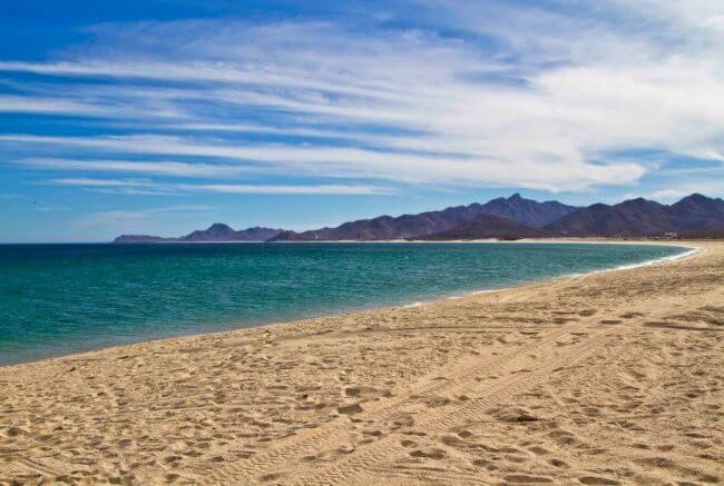 De cómo la vida marina creció en Baja California, tras prohibir la pesca