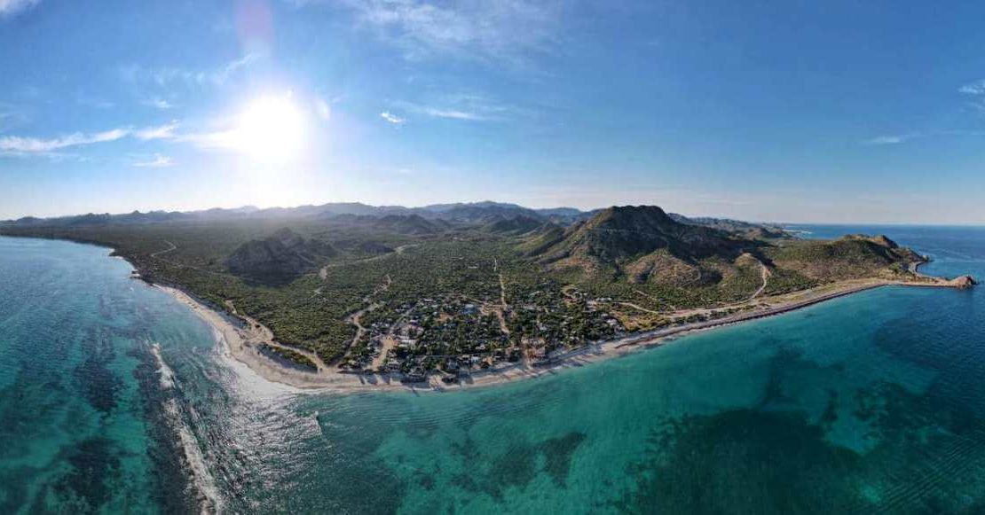 De cómo la vida marina creció en Baja California, tras prohibir la pesca