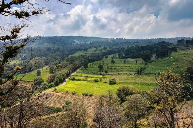 5 parques en Milpa Alta para escaparnos al bosque sin salir de la CDMX