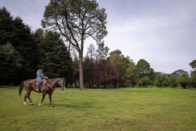 5 parques en Milpa Alta para escaparnos al bosque sin salir de la CDMX