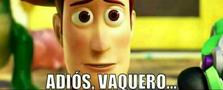 Adiós vaquero meme