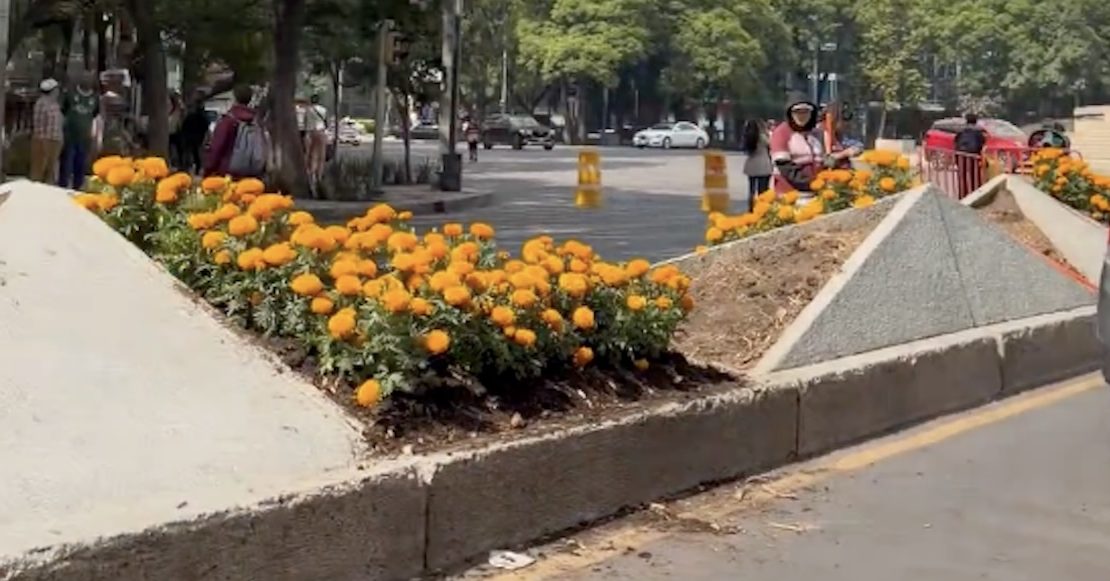 ¡Ora! Adelantan el Día de Muertos con cempasúchil en Paseo de la Reforma