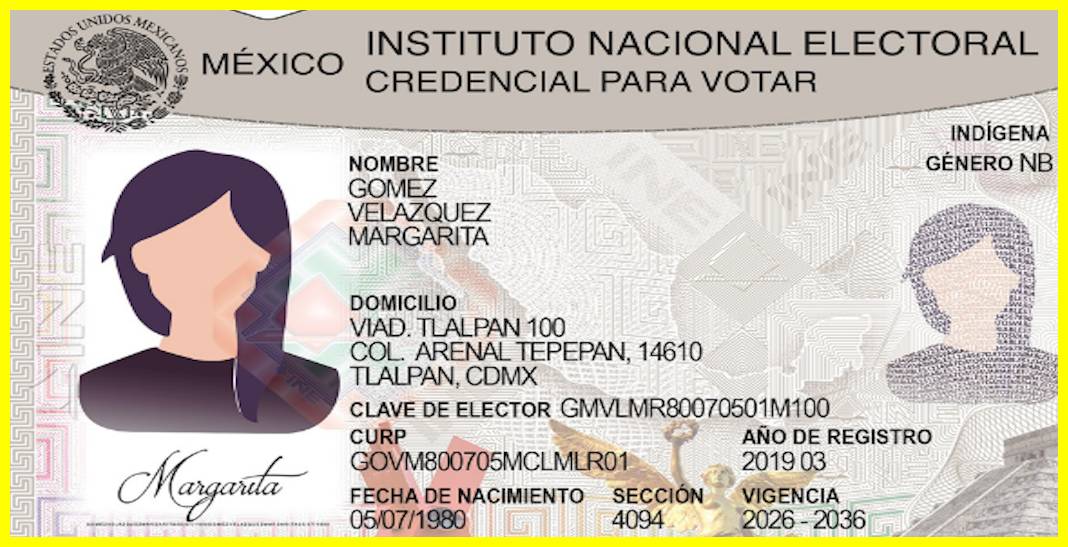 Así se ve el nuevo modelo de la credencial para votar del INE