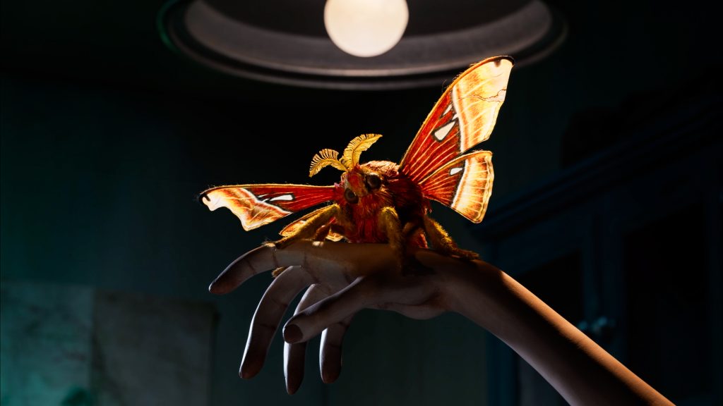 Imagen de 'Insectario' de Sofia Carrillo