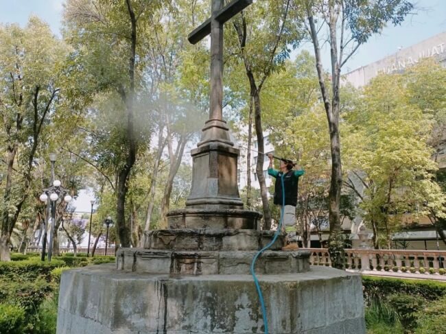 El jardín secreto de La Lagunilla que no conoces, pero tienes que conocer