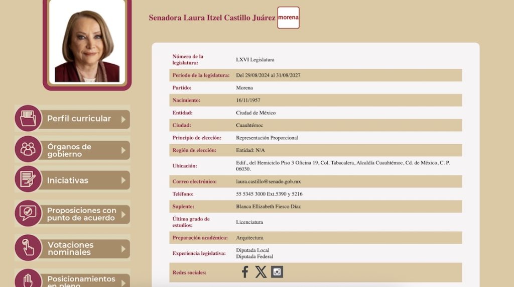 Laura Itzel Castillo será la nueva jefa de la Secretaría de Mujeres