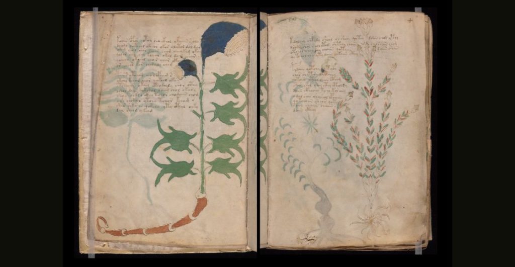 Un par de páginas del Manuscrito Voynich, el libro que nadie ha leído