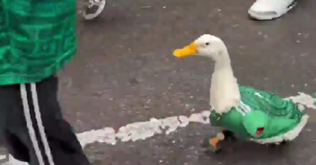 El mejor jugador de México: Merlín, el pato que vende aguas, es la figura del Mundial