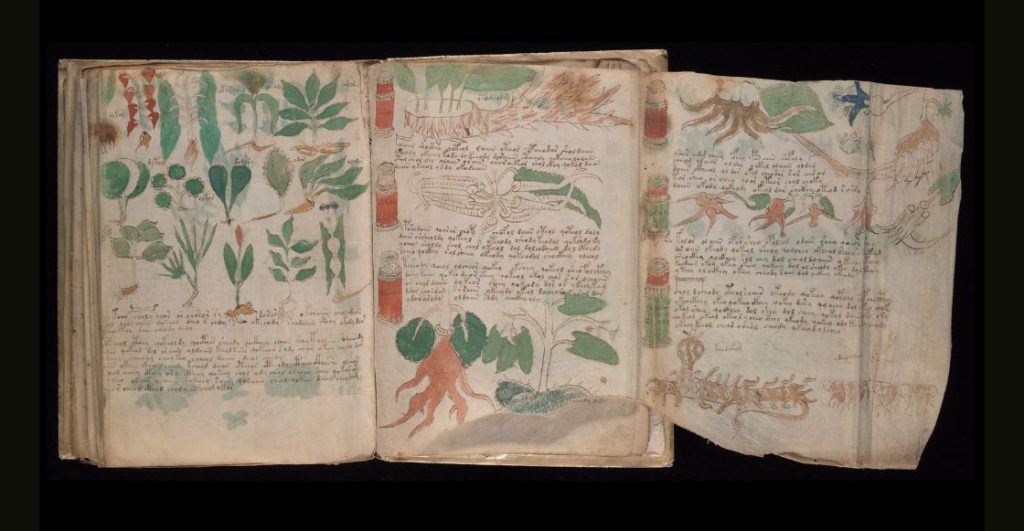 Páginas del Voynich