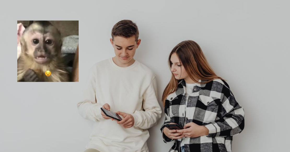 ¡Ojo! Si tienes esta línea de pago, tu teléfono ya estaría vinculado a tu CURP y tú ni en cuenta