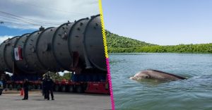 quien-es-pechocho-por-que-marchan-contra-planta-amoniaco-topolobampo-sinaloa-destacada