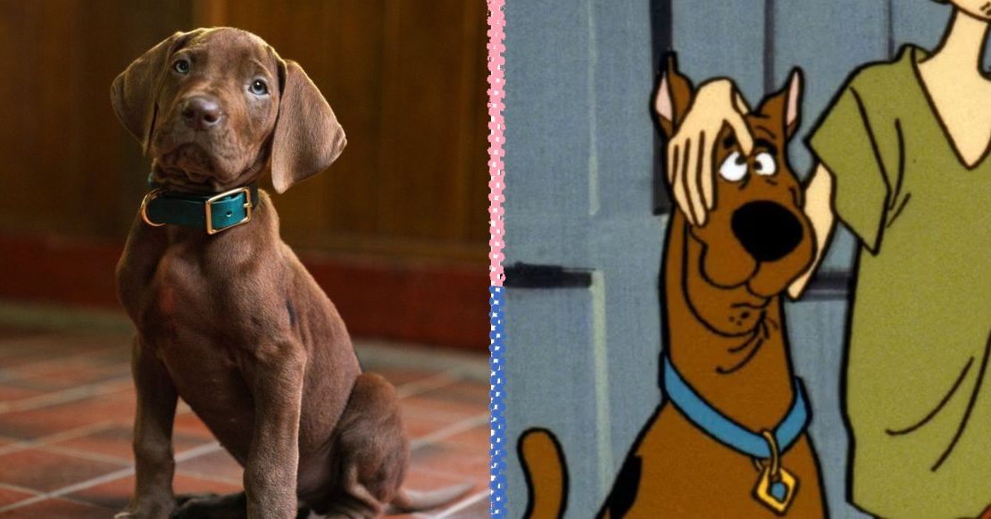La controversia por las orejas del cachorro del live action de Scooby-Doo es… positiva