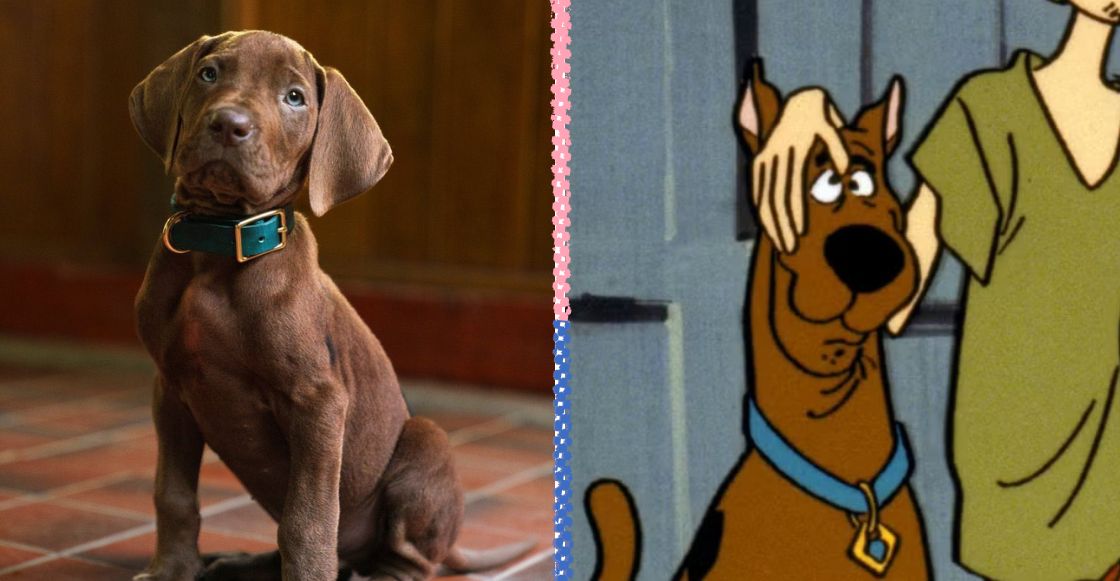 La controversia por las orejas del cachorro del live action de Scooby-Doo es... positiva