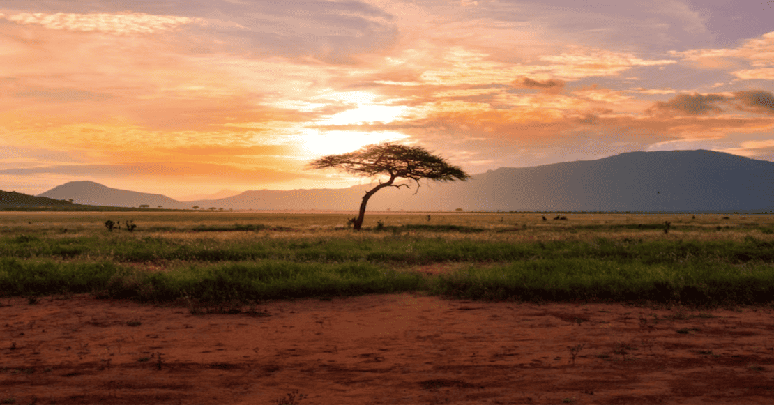 Arcoíris, libertad y Mandela:  la inspiradora historia de Sudáfrica