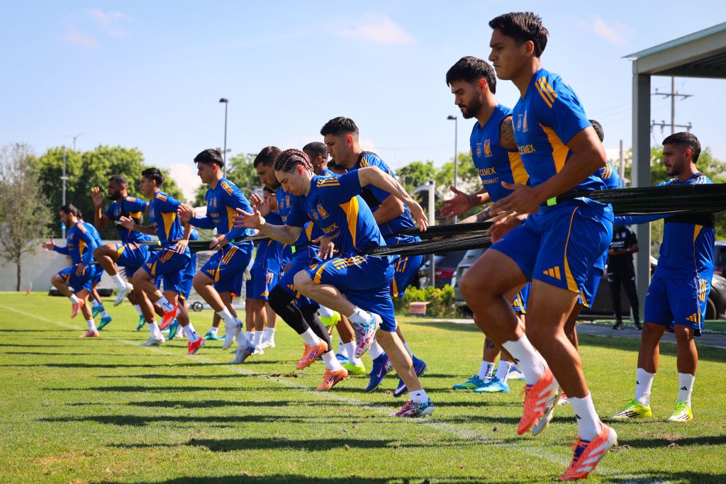 Entrenamiento Tigres