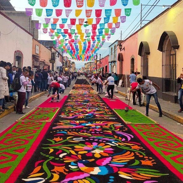 De Tlaxcala para el mundo: Así es el monumental Jardín de las Dalias