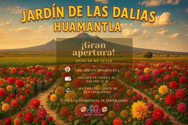De Tlaxcala para el mundo: Así es el monumental Jardín de las Dalias