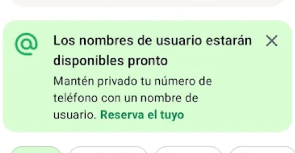 Nueva actualización de WhatsApp // Foto: WhatsApp