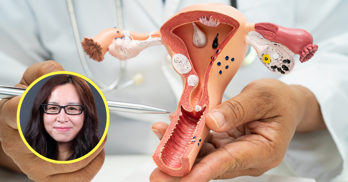 ¿Se puede extender la fertilidad femenina? Una científica lo logró usando células madre