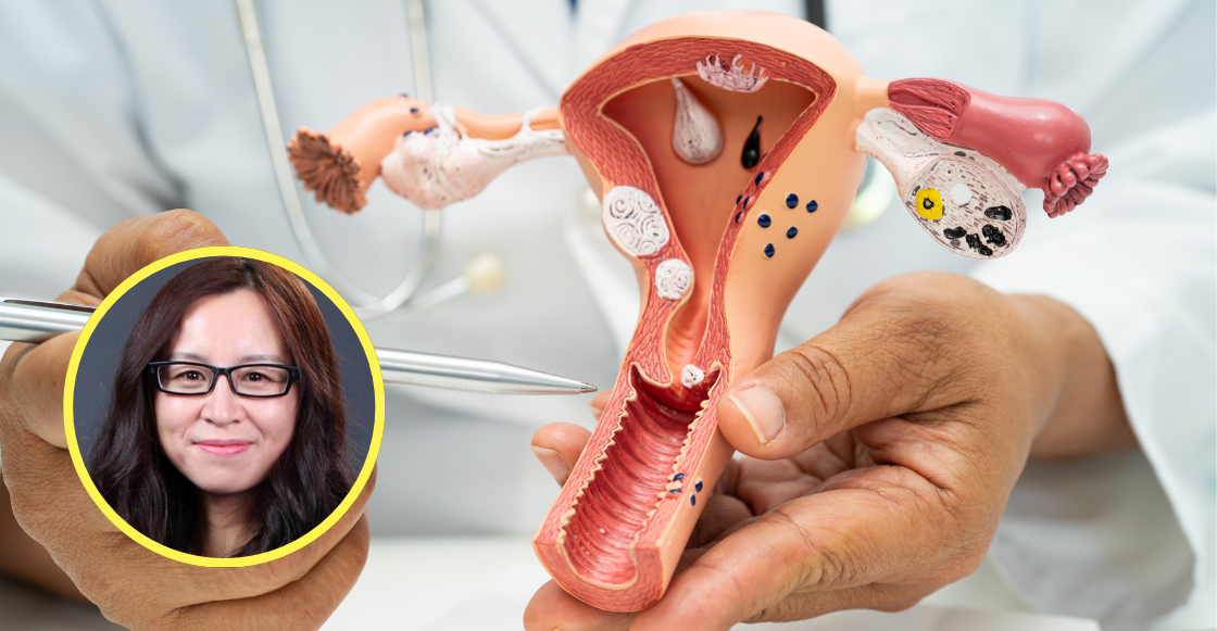 ¿Se puede extender la fertilidad femenina? Una científica lo logró usando células madre
