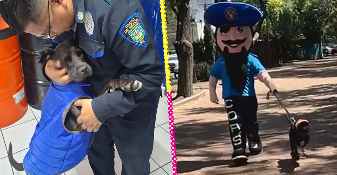 "Patotas": Conoce a la nueva mascota de la Policía Auxiliar
