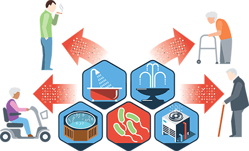 Bacteria Legionella: ¿Qué es y por qué hay brote en Nueva York?