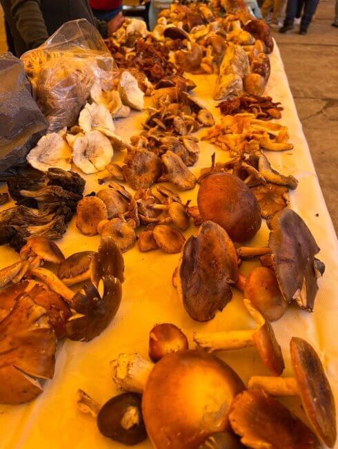 Es agosto y ya es temporada de hongos: 6 lugares donde los preparan como los dioses