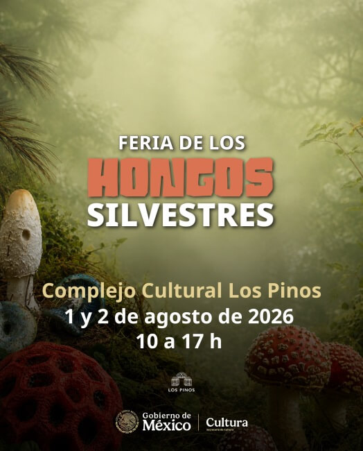 Es agosto y ya es temporada de hongos: 6 lugares donde los preparan como los dioses