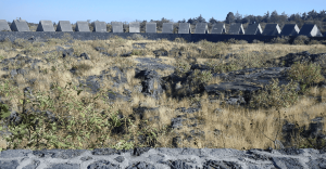 El bosque secreto dentro de la UNAM