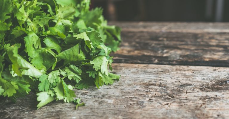 FDA investiga al cilantro y perejil de México por cyclospora en Estados Unidos