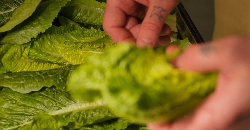7 tips para lavar la lechuga antes de comerte una ensalada