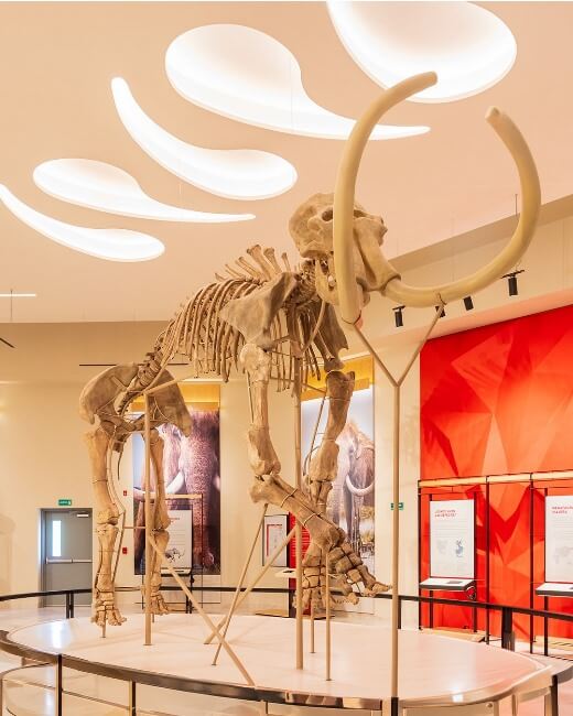 Dinosaurios gigantes toman el AIFA con esta exposición gratuita