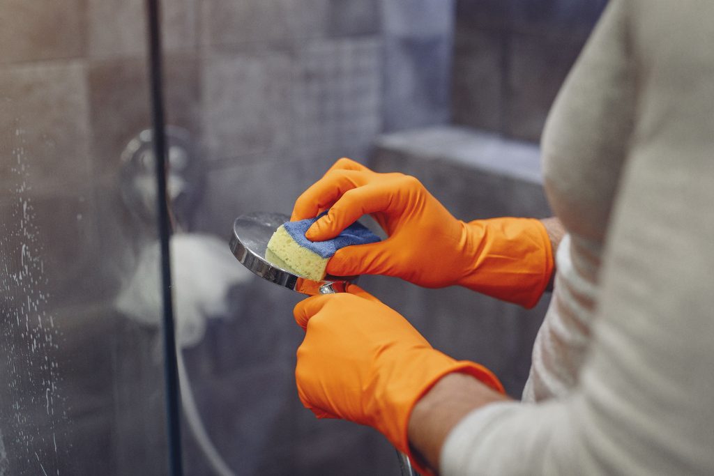 Bacteria Legionella: ¿Qué es y por qué hay brote en Nueva York?