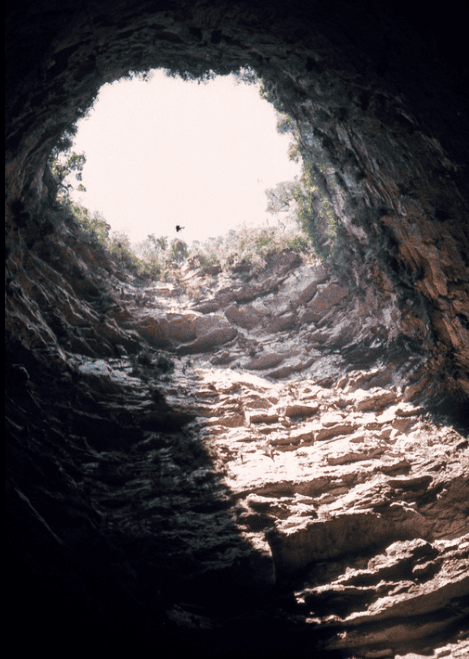 El sótano de las golondrinas