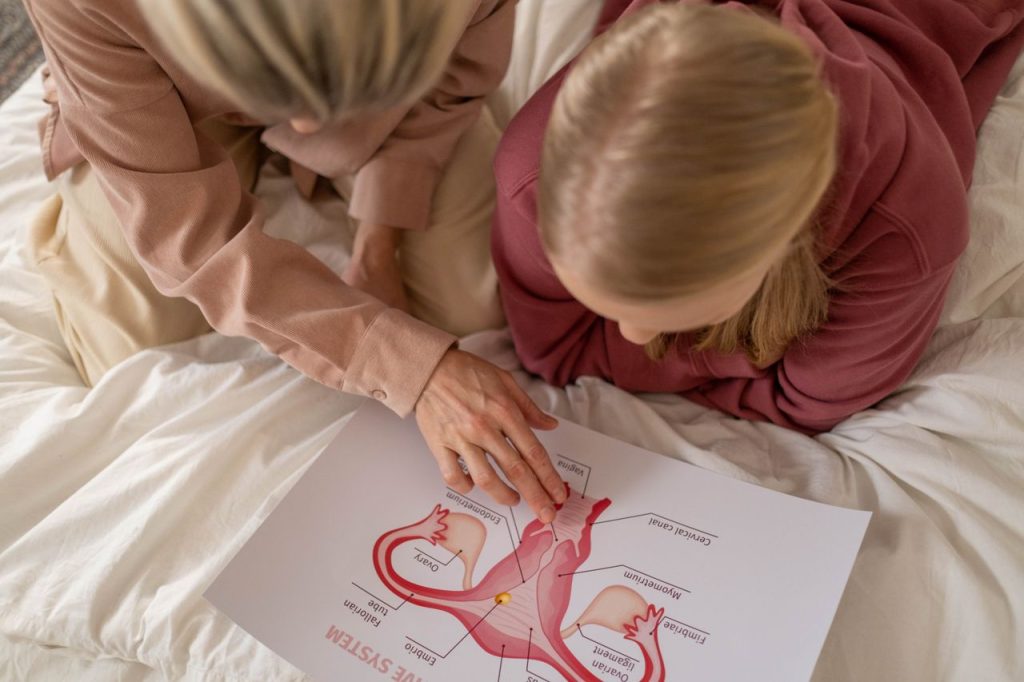 ¿Se puede extender la fertilidad femenina? Una científica lo logró usando células madre