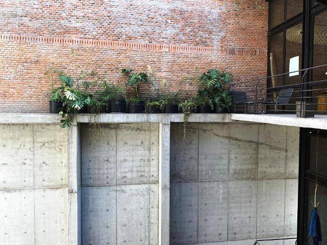 El último bastión del Centro: La fantástica historia de Atlampa (y sus rentas accesibles)