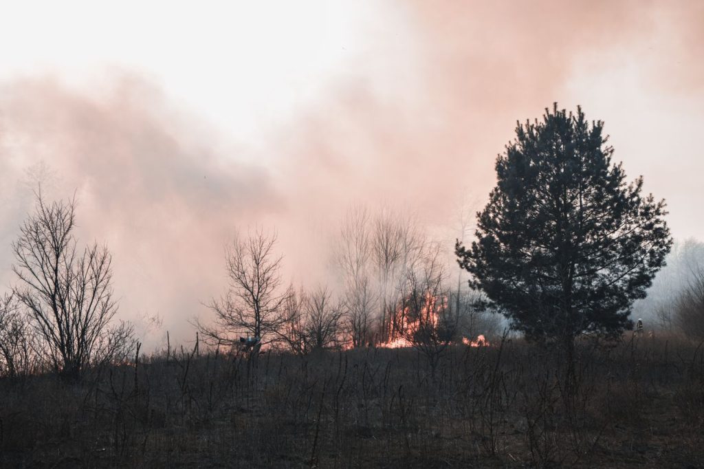 Incendios en Francia: ¿Por qué son tan peligrosos?