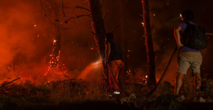 Incendios en Francia: ¿Por qué son tan peligrosos?