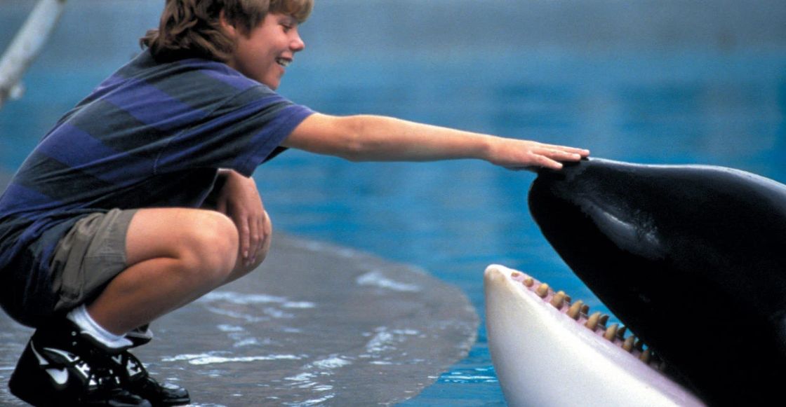 Habrá una nueva película de 'Liberen a Willy': esto es lo que sabemos