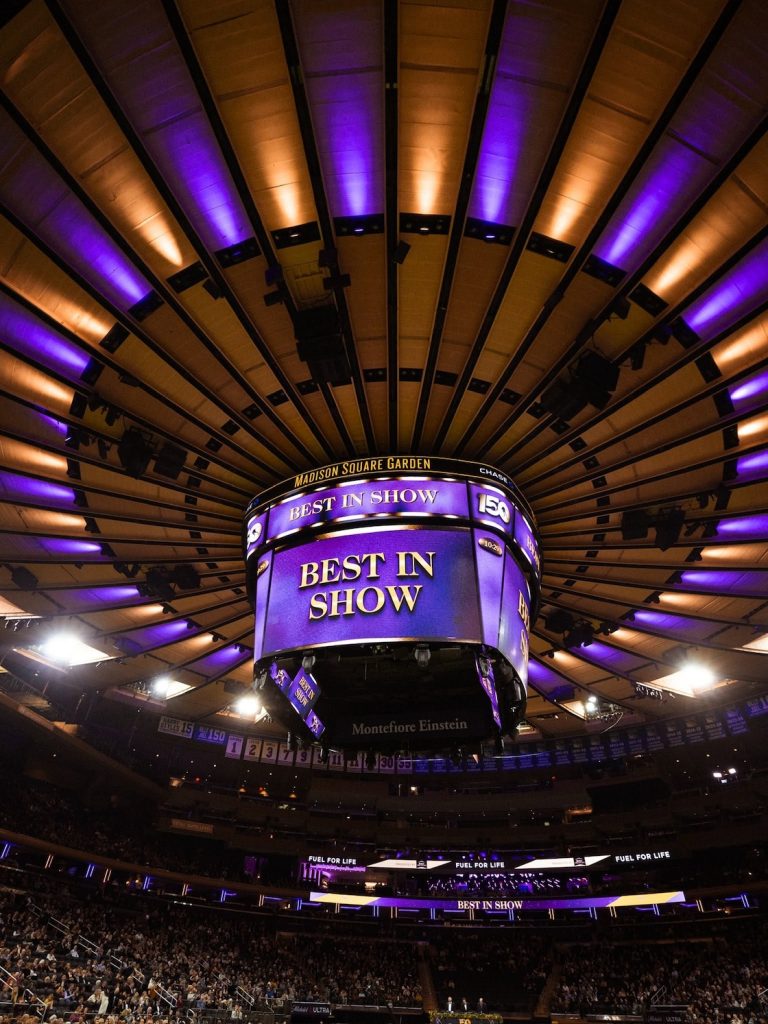 madison square garden