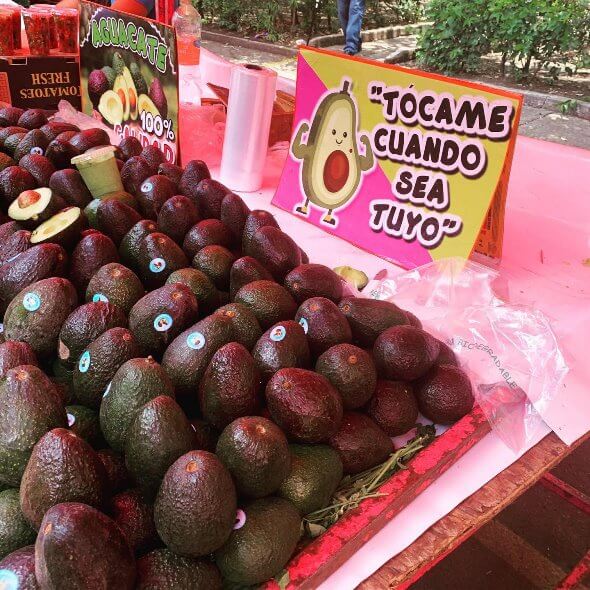 Lista definitiva de los mercados sobre ruedas más famosos de la CDMX