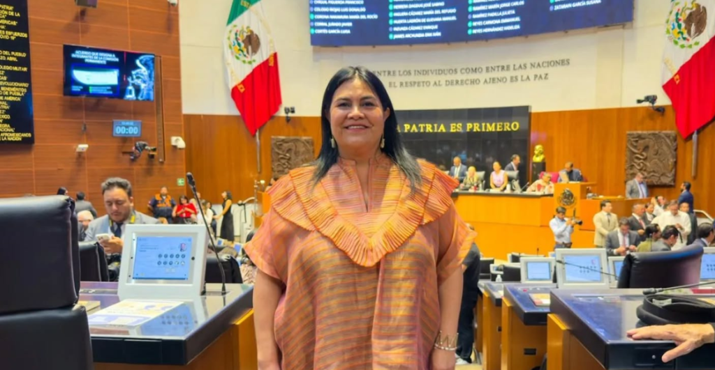Tras el caso de Dafne, Morena va por una revisión de las academias militarizadas privadas