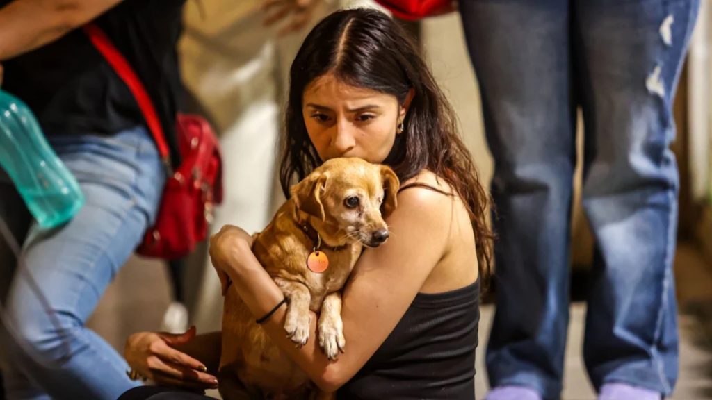 muere-rocky-perro-arrastrado-atropellado-por-su-duena-saltillo-1