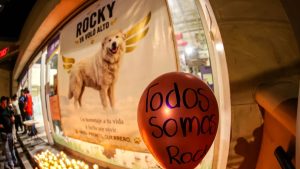 muere-rocky-perro-arrastrado-atropellado-por-su-duena-saltillo-destacada