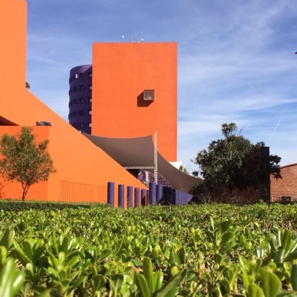 ¿Niños en casa? Actividades de verano imperdibles en la CDMX