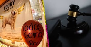 ¿De qué trata la Ley Rocky? Estos son los estados donde ya se presentó la iniciativa
