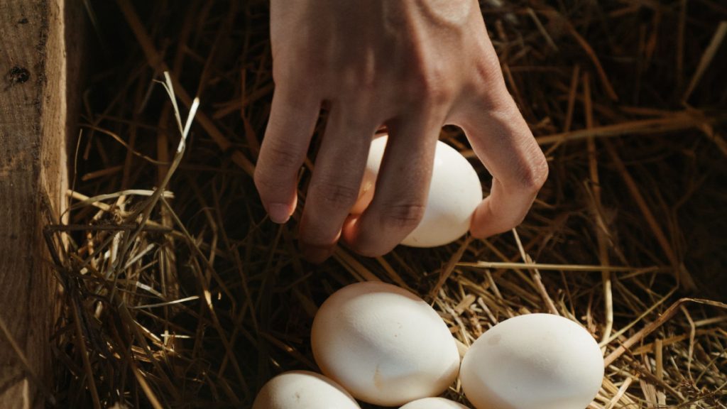 retiran-millones-huevos-mercado-estados-unidos-brote-salmonela-destacada-1
